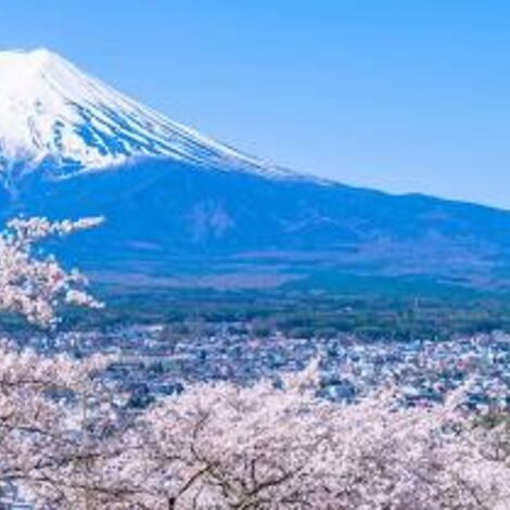 背景