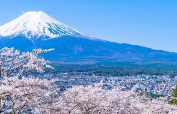 福岡地区で窓販系の店舗を利用されている方