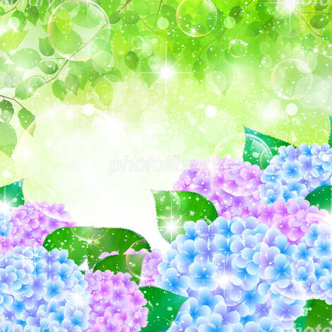 450-20150423144527159626